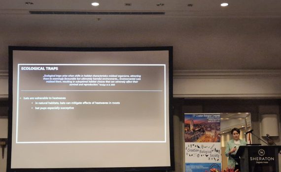 Članica Tragusa drži predavanje na Hrvatskom biološkom kongresu 2025.