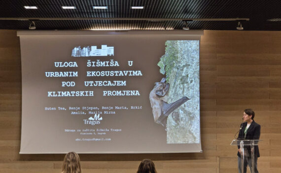 Predavačica stoji za govornicom, iza nje je projekcija sa fotografijom šišmiša i naslovom njezinog predavanja.