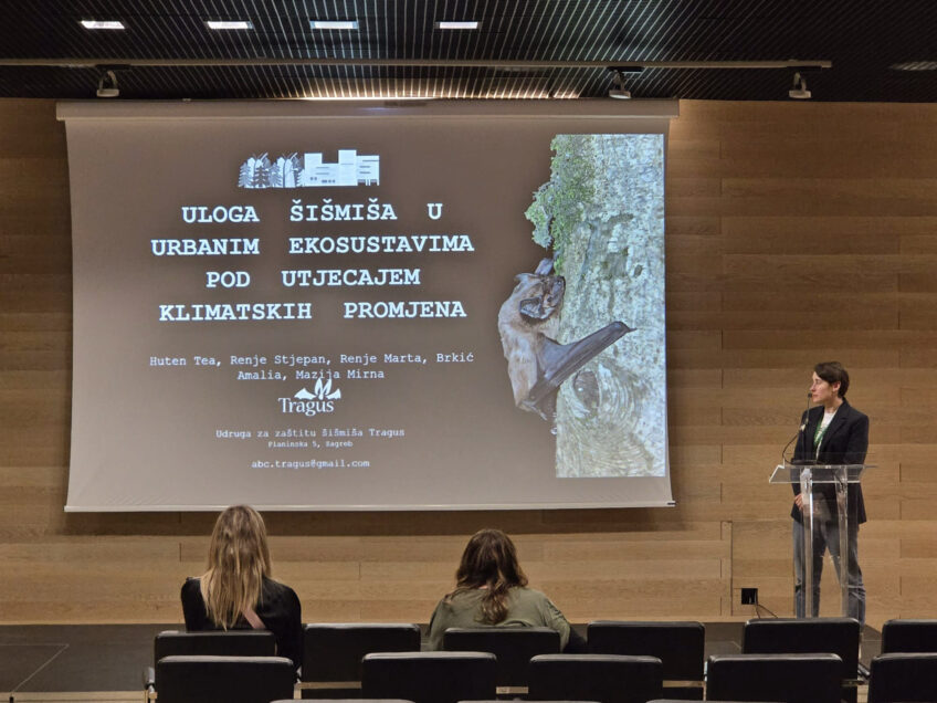 Predavačica stoji za govornicom, iza nje je projekcija sa fotografijom šišmiša i naslovom njezinog predavanja.